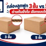 กล่องลูกฟูก 3 ชั้นกับ 5 ชั้น ต่างกันยังไง